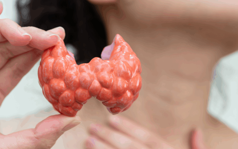 ¿Cómo el Hipertiroidismo afecta la fertilidad?