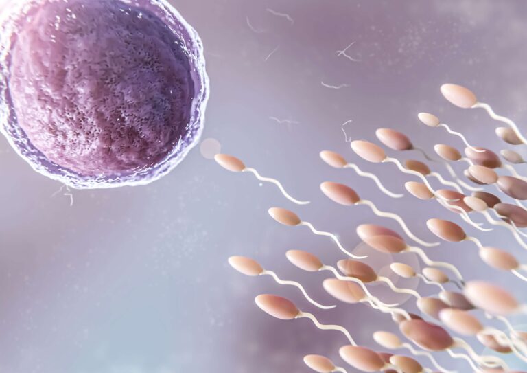 Cómo congelar espermatozoides: proceso, requisitos y resultados