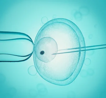 Fecundación in vitro (FIV)